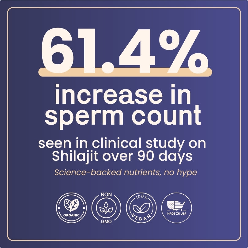 Men's Fertility Support | Shilajit Gummies with Ashwagandha